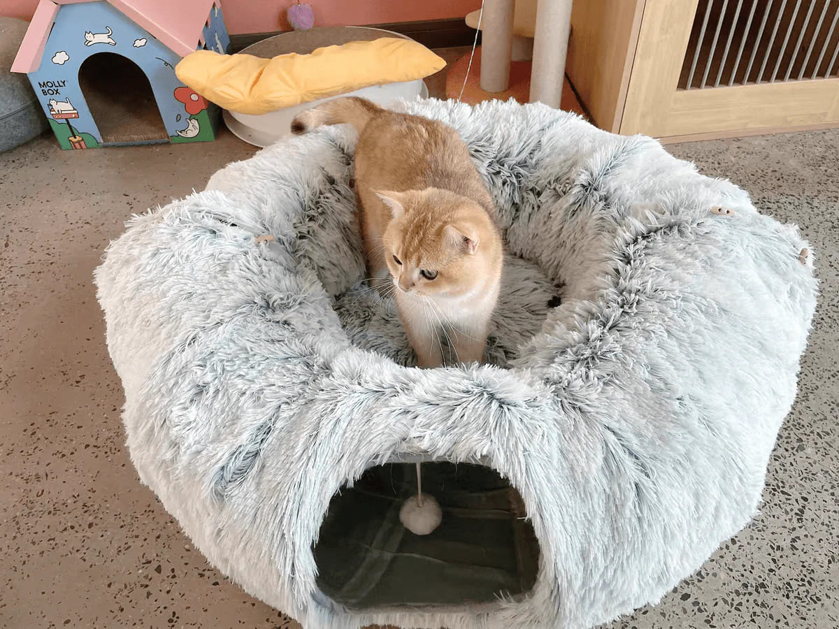 Cat Tunnel Bed – Foldable & Cozy Pet Hideout-Donut rolling cage cat tunnel plush soft pet nest cat channel entertainment drilling hole