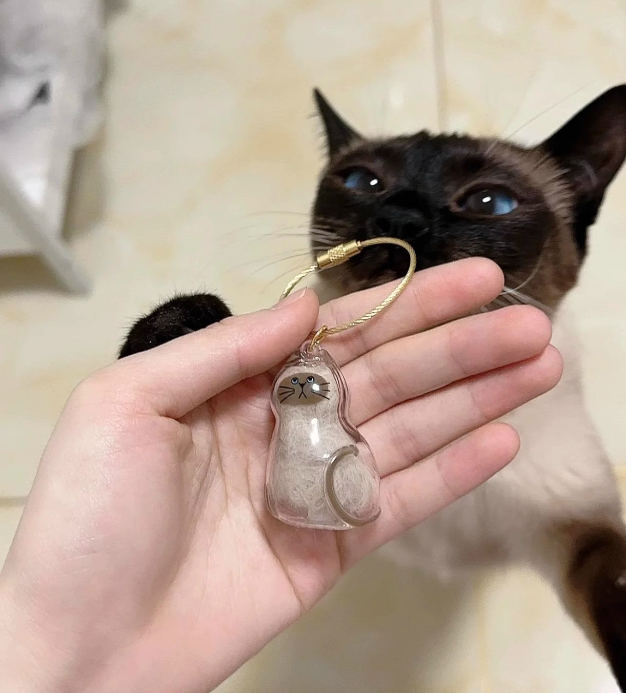 Dog Hair Storage Cute Pendant Keychain BagPendant Couple Car Key Chains Jewelry SouvenirCollection Gift Decoration Accessories