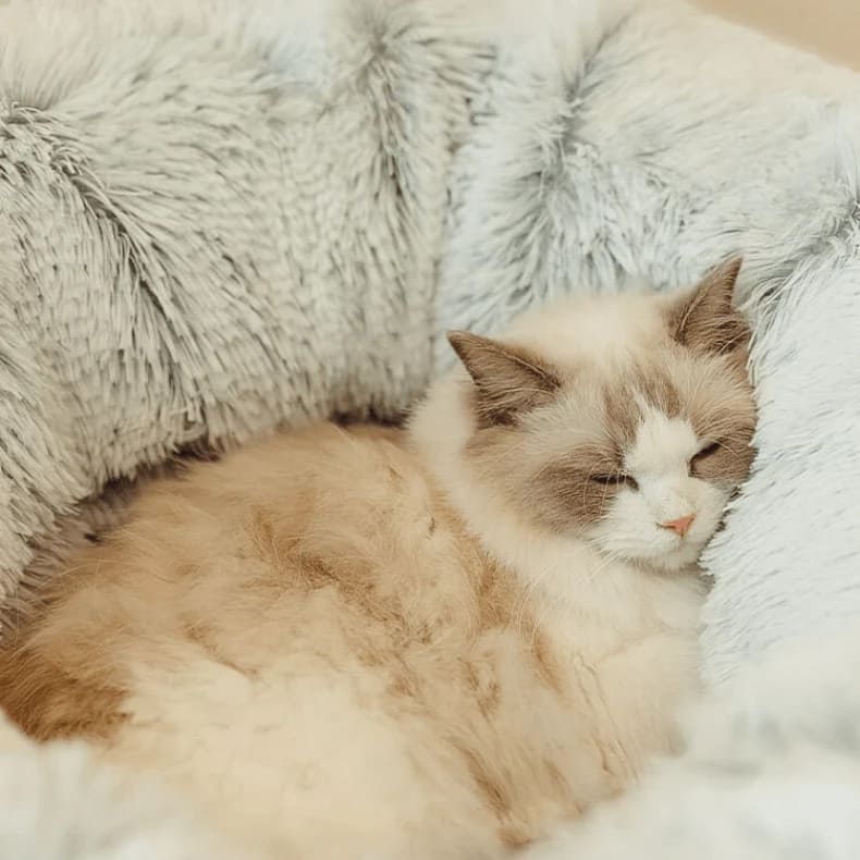 Cat Tunnel Bed – Foldable & Cozy Pet Hideout-Donut rolling cage cat tunnel plush soft pet nest cat channel entertainment drilling hole