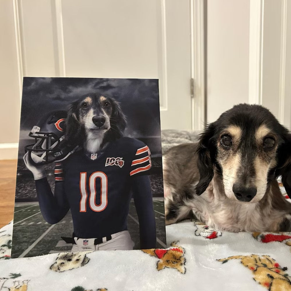 Custom Pet Canvas Portrait