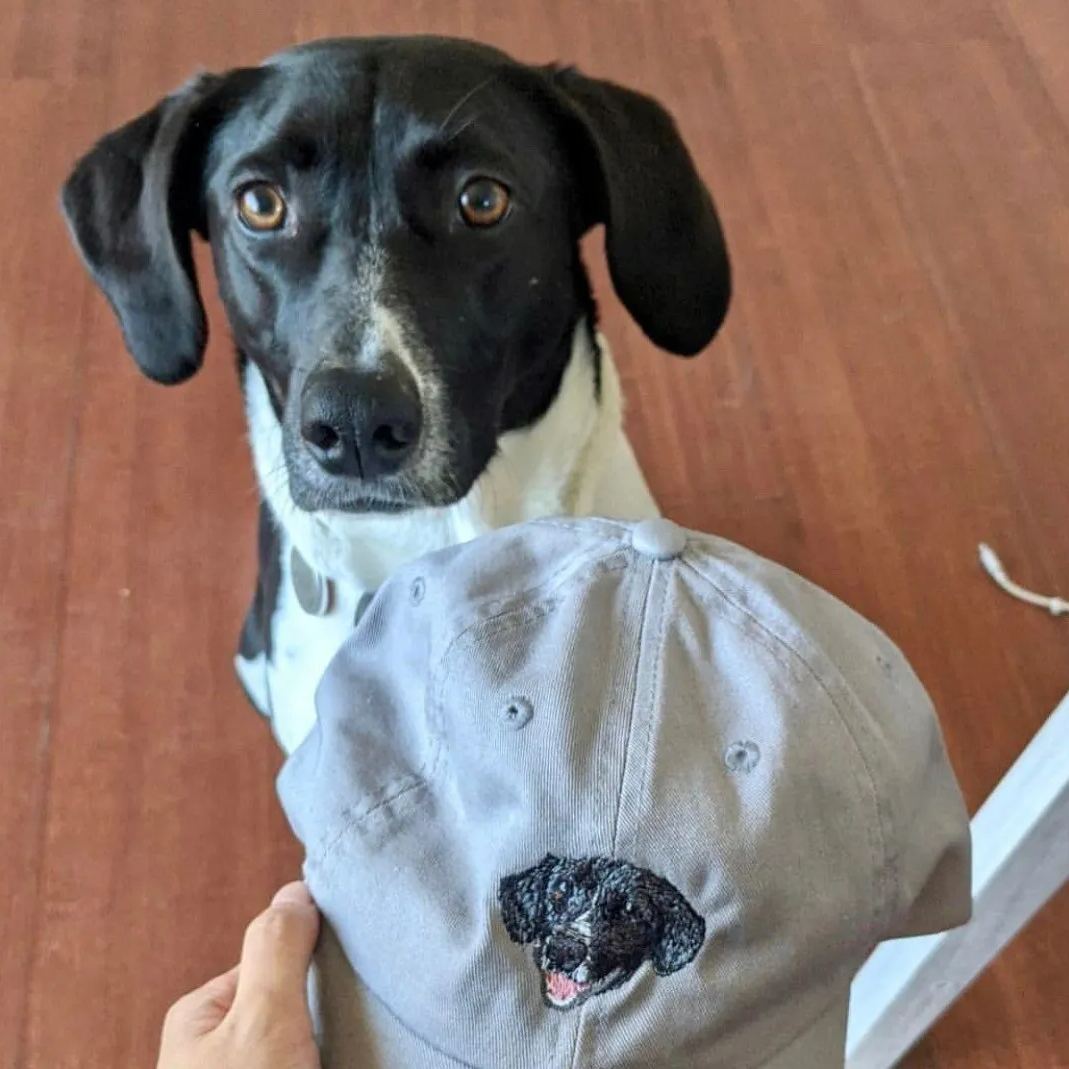Custom Embroidered Pet Hat Using Pet Photo Personalized