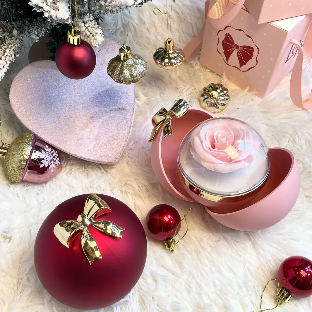 Heart Projection Necklace Gift of Love