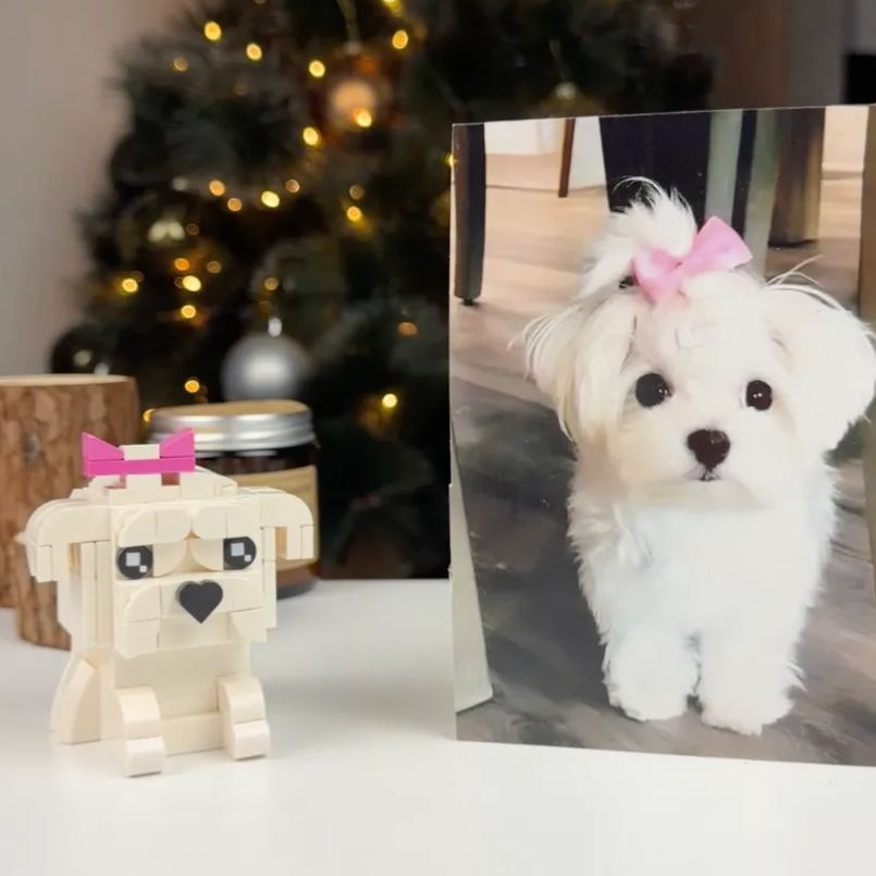 Custom Brick Figure with Photo, Creative and Personalized Gift