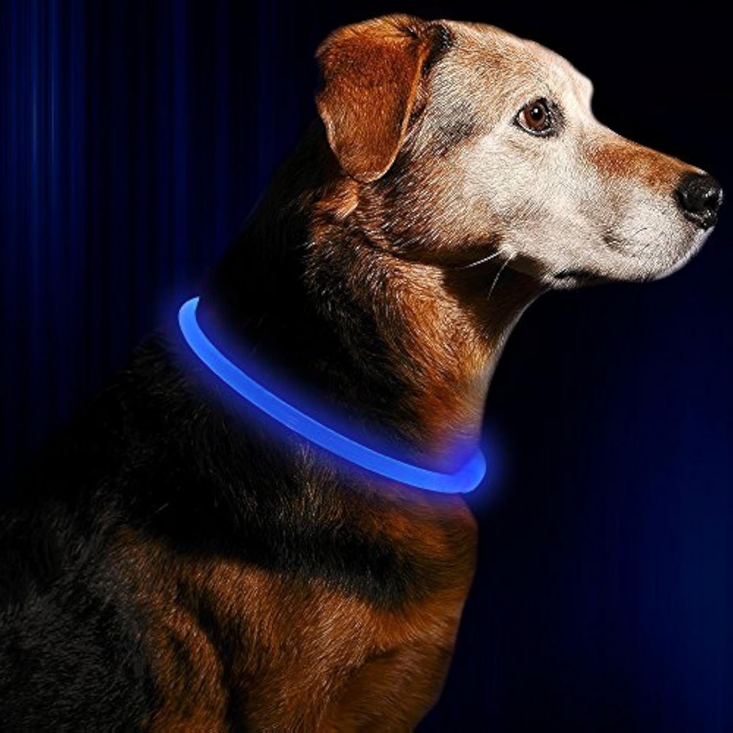 Light up Dog Collar, USB Rechargeable Flash Dog Necklace Light, Pet Safety Collar Makes Your Beloved Dogs Be Seen at Night for Small Medium Large Dogs