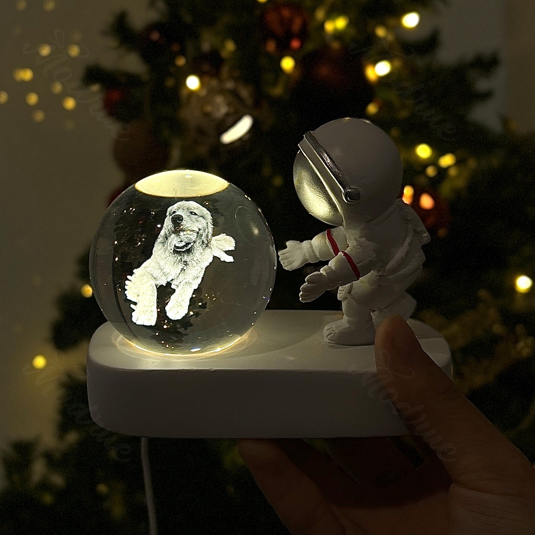 Personalized 3D Photo Crystal Ball