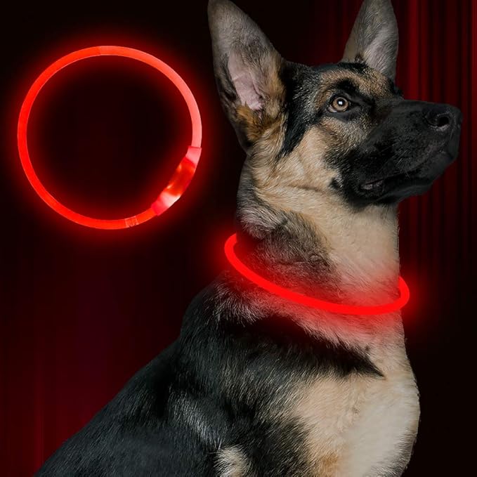 Light up Dog Collar, USB Rechargeable Flash Dog Necklace Light, Pet Safety Collar Makes Your Beloved Dogs Be Seen at Night for Small Medium Large Dogs