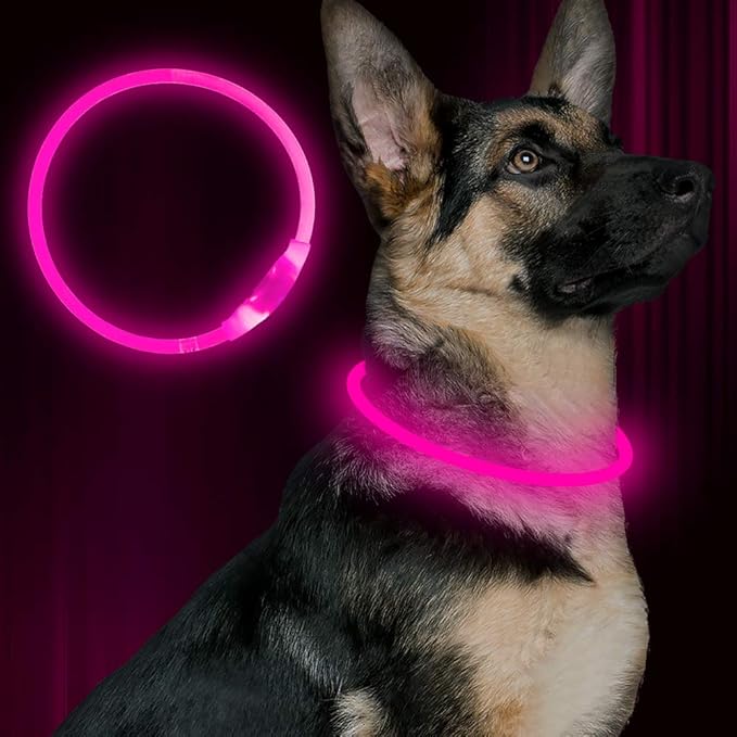 Light up Dog Collar, USB Rechargeable Flash Dog Necklace Light, Pet Safety Collar Makes Your Beloved Dogs Be Seen at Night for Small Medium Large Dogs