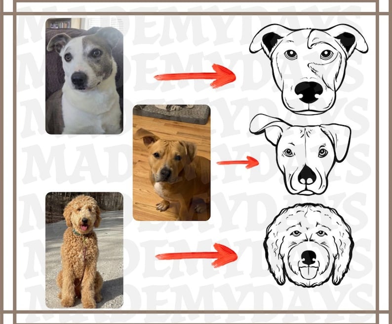 Custom embroidered pet T shirt, hoodie, sweatshirt embroidered