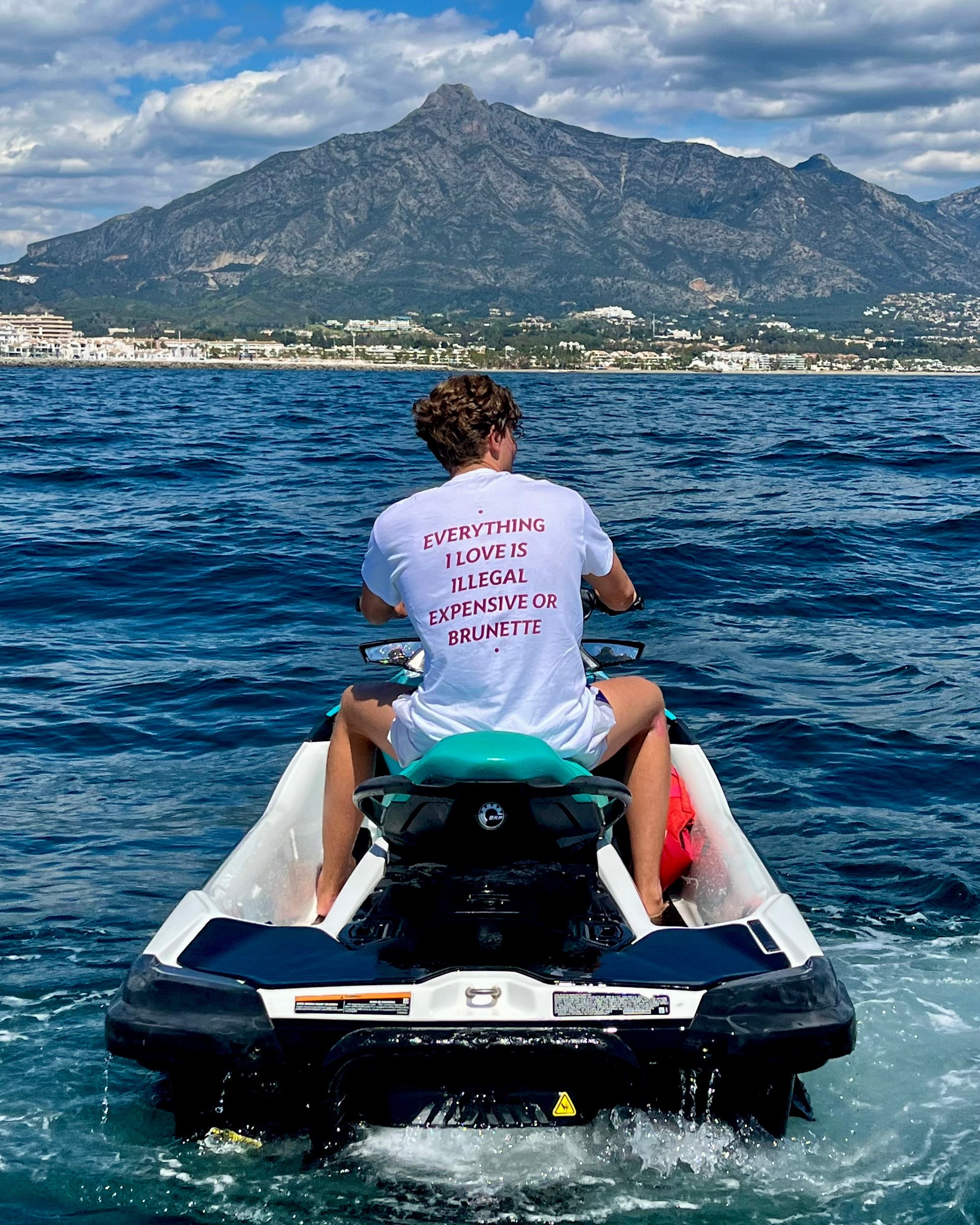 EVERYTHING I LOVE IS ILLEGAL, EXPENSIVE OR BRUNETTE