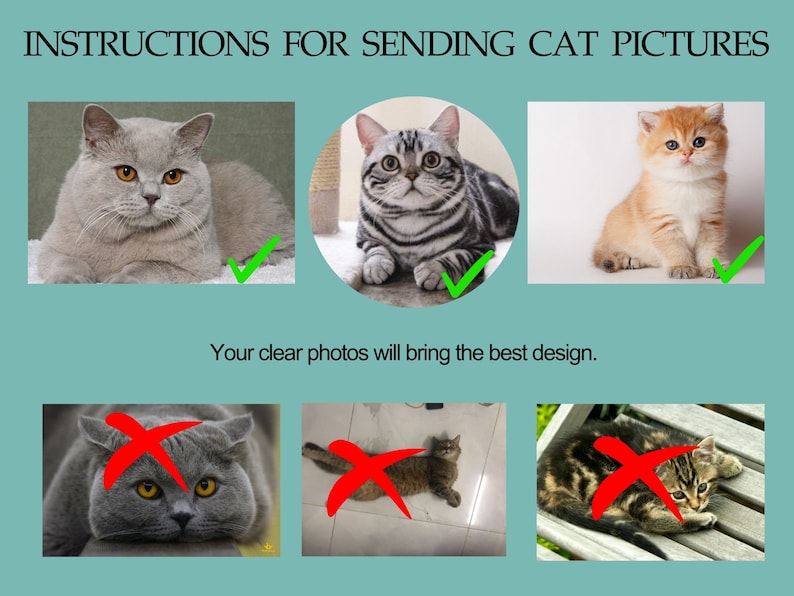 Personalized with Your Pet's Photo Embroidery Hoodie